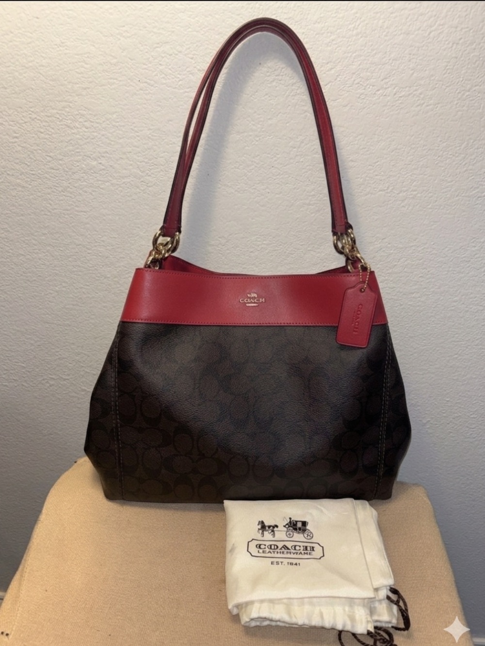 Coach Lexy Shoulder Bag in Signature Canvas